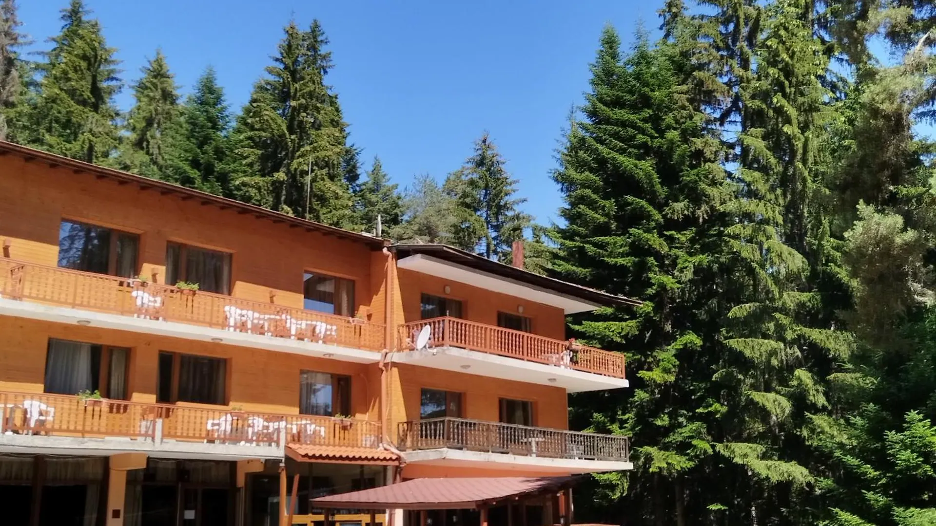 Ski Hotel Katerina バンスコ