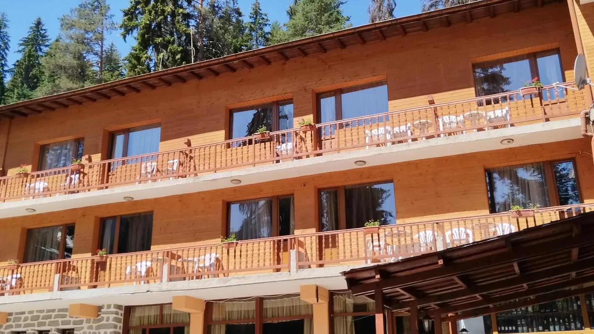 Ski Hotel Katerina バンスコ ブルガリア